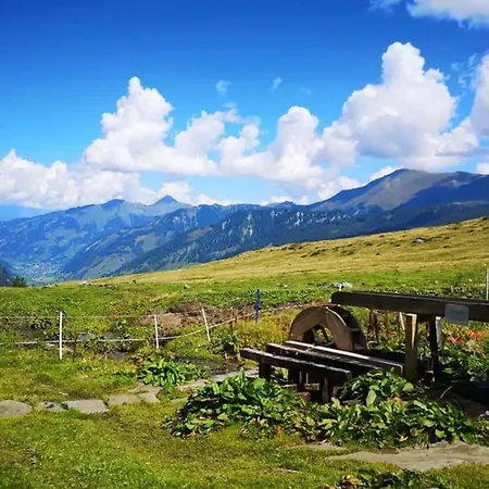 Manuela 9 Апартаменты Раурис