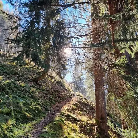 Manuela 9 Раурис