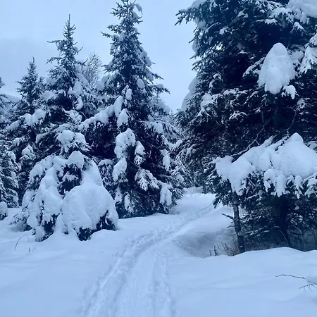 Lejlighed Manuela 9 By Smr - Close To And Gondola