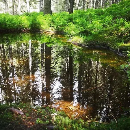 Manuela 9 Раурис