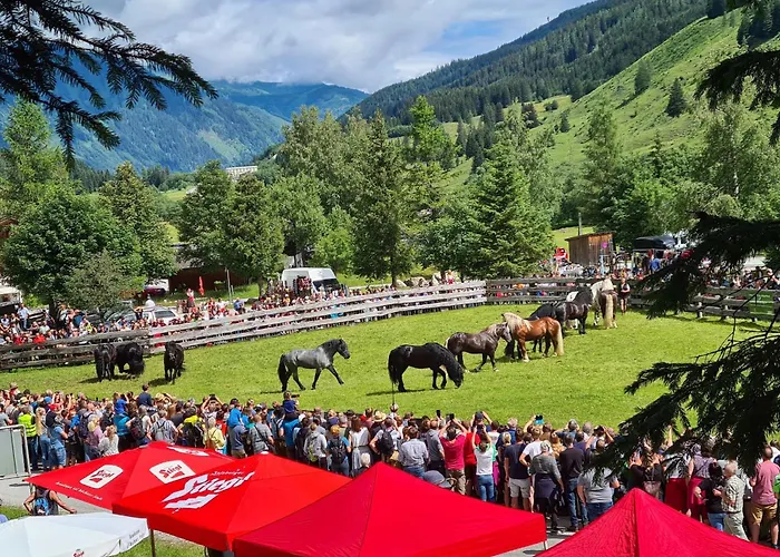 Manuela 9 Appartement