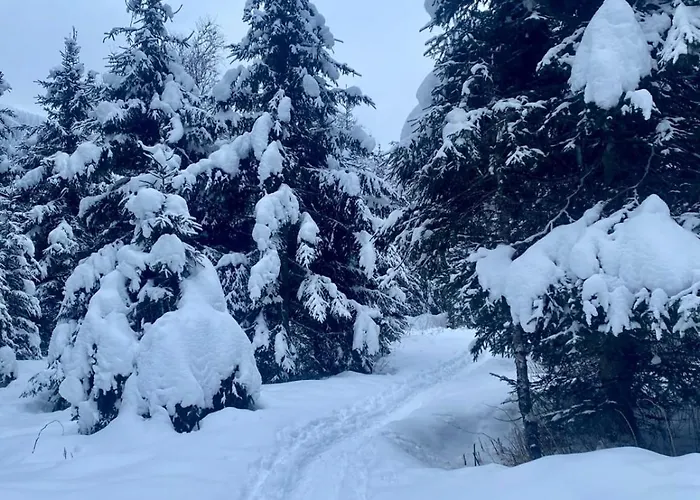 Appartement Manuela 9